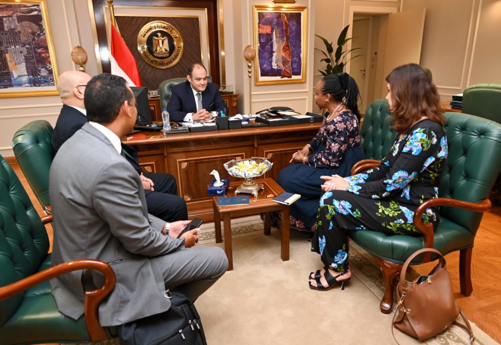 Egypt and UNIDO discuss industrial development strategy